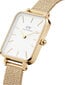 Käekell naistele Daniel Wellington DW00100556 цена и информация | Käekellad naistele | hansapost.ee