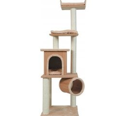 Kraats kassidele Zolux 161 cm, pruun price and information | Cat climbing trees | hansapost.ee