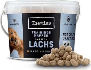 Chewies Trainings-Happen lõhega, 300 g price and information | Koerte maiused | hansapost.ee