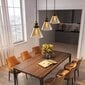 Rippvalgusti G.Lux GT-190-D19-1S-BL Loft Amber цена и информация | Rippvalgustid | hansapost.ee