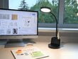 LED laualamp G.LUX GD-UNO-T must цена и информация | Laualambid | hansapost.ee