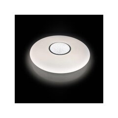 Puldiga reguleeritav laevalgusti price and information | Ceiling lamps | hansapost.ee