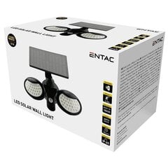 Прожектор LED Entac Solar 10W SMD PIR цена и информация | Entac Товары для сада | hansapost.ee