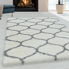 Ayyildiz vaip Shaggy Salsa 120x170 cm price and information | Carpets | hansapost.ee