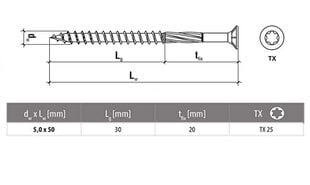 Puidukruvid välitöödeks, torx, C3, 5,0 x 50/30, 250 tk цена и информация | Инструменты крепления | hansapost.ee