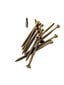 Puidukruvid välitöödeks, torx, C3, 5,0 x 100/60, 100 tk цена и информация | Kinnitusvahendid | hansapost.ee