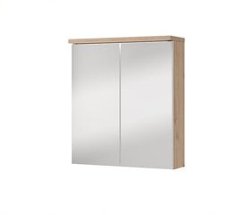 Vannitoa kapp Szynaka Meble Sting 56, pruun price and information | Bathroom cabinets | hansapost.ee