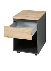 Öökapp Szynaka Meble Brego 16 1S, hall/pruun price and information | Nightstands | hansapost.ee