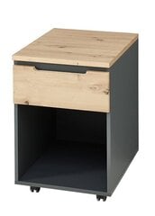 Öökapp Szynaka Meble Brego 16 1S, hall/pruun price and information | Nightstands | hansapost.ee