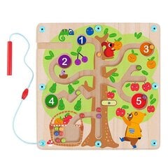 Magnetlabürint Tooky Toys price and information | Board games and puzzles for the family | hansapost.ee