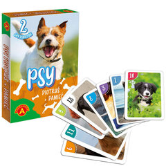 Kaardimäng Piotrus + Memory dogs, PL price and information | Board games and puzzles for the family | hansapost.ee