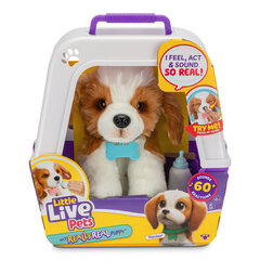 LITTLE LIVE PETS интерактивная мягкая игрушка Really Real Puppy цена и информация | Игрушки для девочек | hansapost.ee