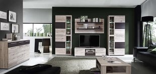 Журнальный столик Allister SVOT22, дубовый цвет цена и информация | Forte Мебель и домашний интерьер | hansapost.ee