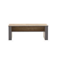 Журнальный столик Kalune Design Manhattan, 110 см, коричневый/темно-серый цена и информация | Журнальные столики | hansapost.ee