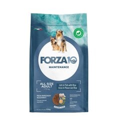 Forza 10 Dog Maintenance kõikide tõugude täiskasvanud koertele, 12 kg hind ja info | Koerte kuivtoit ja krõbinad | hansapost.ee