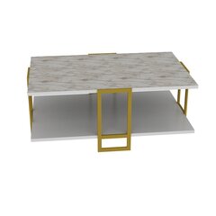 Журнальный столик Kalune Design Polka, белый/золотистый цена и информация | Журнальные столики | hansapost.ee