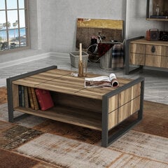 Журнальный столик Kalune Design Lost, коричневый/серый цена и информация | Kalune Design Мебель и домашний интерьер | hansapost.ee