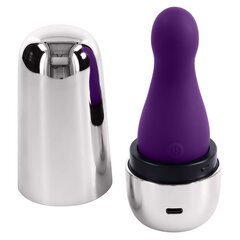 Vibraator Playboy The Jet Set Vibe, violetne price and information | Vibrators | hansapost.ee