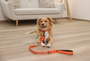 Kerbl kaelarihm Puno must, oranž Plastic Dog Head collar price and information | Dog collars and braces | hansapost.ee