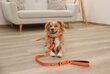 Kerbl kaelarihm Puno 0.1 m must, oranž Dog Training Lead цена и информация | Jalutusrihmad koertele | hansapost.ee