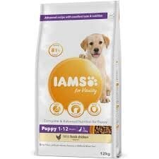 IAMS Advanced Nutrition Puppy Junior Large Breed для молодых собак крупных пород с курицей, 12 кг цена и информация | Сухой корм для собак | hansapost.ee