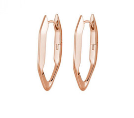 Rosato Модные бронзовые серьги Eva RZEV23 sRO1577 цена и информация | Серьги C Shape 14K золотые серьги Matte Gold Teall Adhess Sears для фестиваля | hansapost.ee