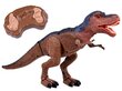 Raadio teel juhitav dinosaurus T-REX цена и информация | Mänguasjad poistele | hansapost.ee