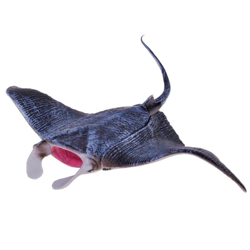 Mereloomade kujukeste komplekt 10 pcs Manta Whale Squid Catfish ZA5173 hind ja info | Mänguasjad poistele | hansapost.ee