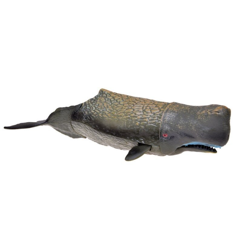 Mereloomade kujukeste komplekt 10 pcs Manta Whale Squid Catfish ZA5173 hind ja info | Mänguasjad poistele | hansapost.ee