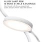 Klambriga LED-laualamp G.LUX GD-UNO-C white цена и информация | Laualambid | hansapost.ee