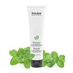 Водная основа лубрикант Nuei Inlube Natural Feel Spearmint, 100 мл цена и информация | Лубриканты | hansapost.ee