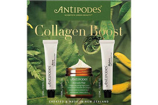 Набор косметики Antipodes Collagen Boost Set: дневной крем для лица, 15 мл + ночной крем для лица, 60 мл + маска для лица, 15 мл цена и информация | Кремы, лосьоны для тела | hansapost.ee