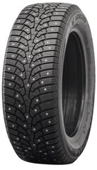 Nankang Activa Grip 2 SW-9 255/50R19 107 T XL шипованные цена и информация | Зимняя резина | hansapost.ee