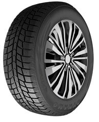 Dynamo Snow-H MWH03 185/60R15 84 T шипованный цена и информация | Зимняя резина | hansapost.ee