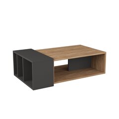 Кофейный столик Kalune Design 855, коричневый/темно-серый цена и информация | Журнальные столики | hansapost.ee