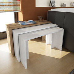 Набор из 3-х журнальных столиков Kalune Design 756, белый/коричневый цена и информация | Kalune Design Мебель и домашний интерьер | hansapost.ee