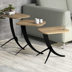 Комплект из 3-х журнальных столиков Kalune Design 845, коричневый/черный цена и информация | Kalune Design Мебель и домашний интерьер | hansapost.ee
