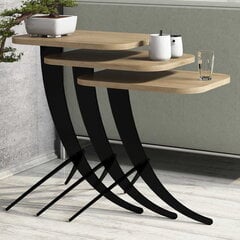 Комплект из 3-х журнальных столиков Kalune Design 845, коричневый/черный цена и информация | Kalune Design Мебель и домашний интерьер | hansapost.ee