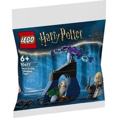 LEGO Harry Potter Draco keelatud metsas цена и информация | Конструкторы и кубики | hansapost.ee