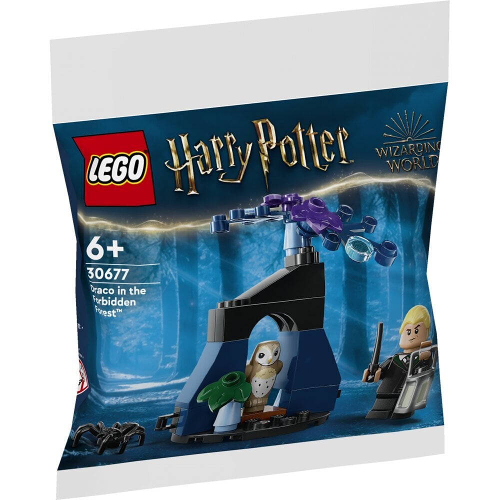 LEGO Harry Potter Draco keelatud metsas цена и информация | Klotsid ja konstruktorid | hansapost.ee