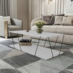 Кофейный столик Kalune Design 854, белый/черный цена и информация | Kalune Design Мебель и домашний интерьер | hansapost.ee