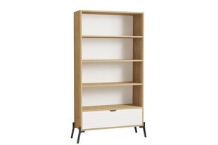 Riiul Asir, 83,6x160x30 cm, beež/valge price and information | Shelves | hansapost.ee