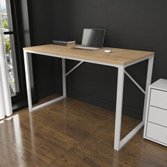 Laud Asir, 120x60x74 cm, valge/beež price and information | Computer desks, writing desks | hansapost.ee