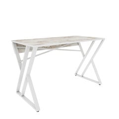 Laud Asir, 120x60x75 cm, valge price and information | Computer desks, writing desks | hansapost.ee