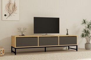 TV alus Asir, 160x40x40 cm, beež/must/hall hind ja info | Televiisori alused | hansapost.ee