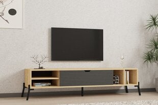 TV alus Asir, 160x36x40 cm, beež/hall price and information | Televiisori alused | hansapost.ee