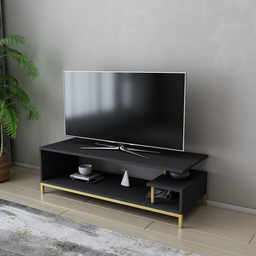 TV alus Asir, 120x44,6x37,6 cm, kuldne/hall hind ja info | Televiisori alused | hansapost.ee