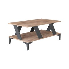 Diivanilaud Asir, 100x60x40 cm, hall/helepruun price and information | Coffee tables | hansapost.ee