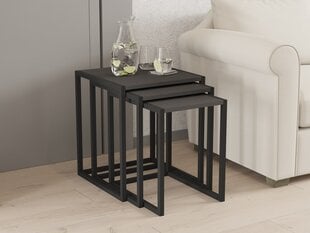 3-osaline laua komplekt Asir, 40x55x40 cm, must/hall price and information | Coffee tables | hansapost.ee