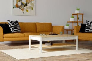 Diivanilaud Asir, 100x35x60 cm, beež/valge price and information | Coffee tables | hansapost.ee